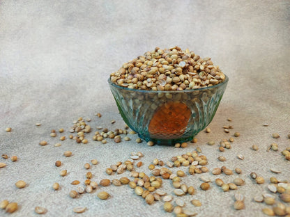 IPM CORIANDER SEEDS 250GMS